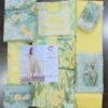 Crimson collection 2022 luxury lawn by saira shakira chikankari schiffili Collection master king replica pakistani suit